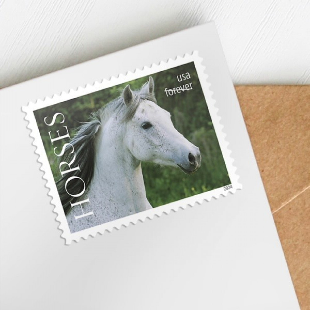 2024 Horses Stamps forever stamps